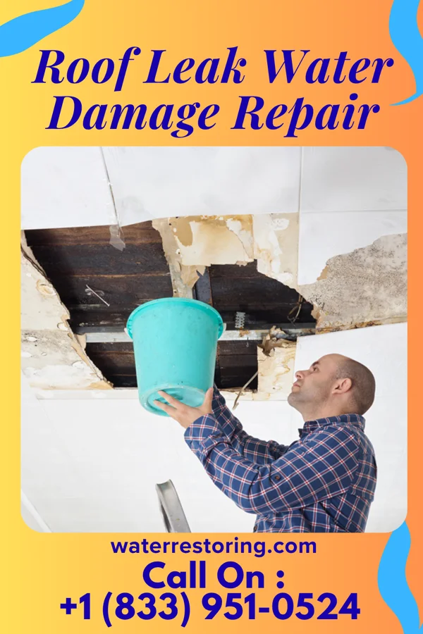Roof Leak Water Damage Repair in Greenacres, CA